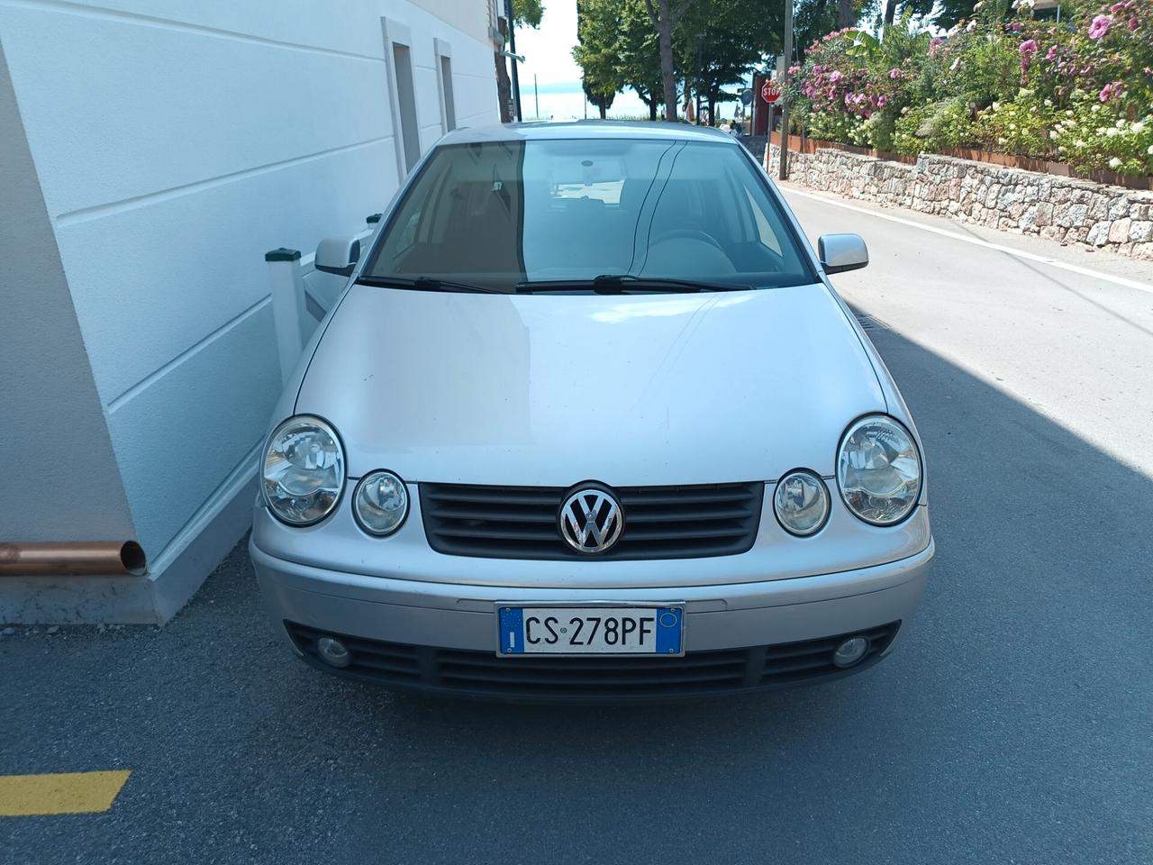 Polo neopatentati 5 porte