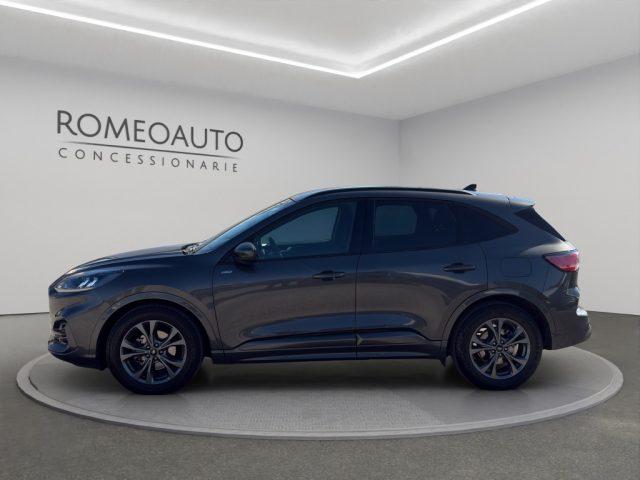 FORD Kuga 2.0 EcoBlue 120 CV aut. 2WD ST-Line