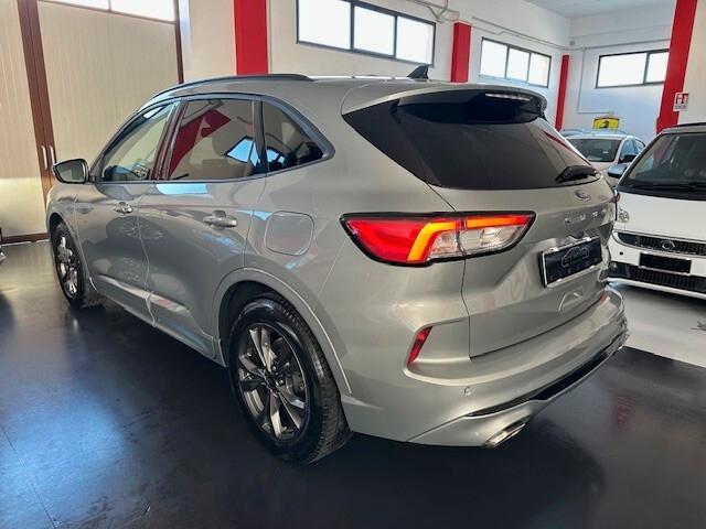 Ford Kuga 1.5 EcoBlue 120 CV aut. 2WD ST-Line PROMO