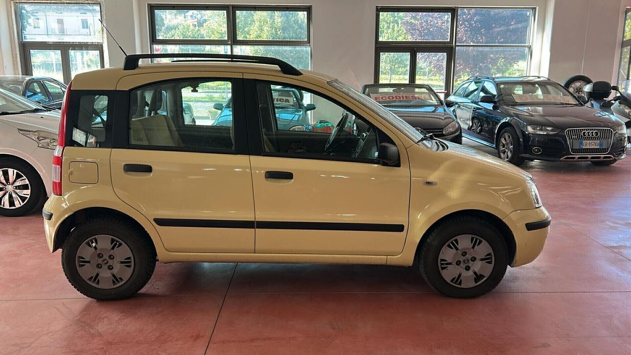 FIAT PANDA Benz. 1.2 soli KM 49.516 Certificati CV60 come NUOVA per NEOPATENTATI