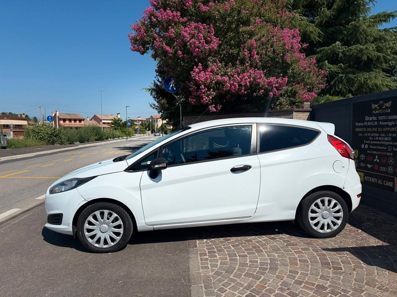 Ford Fiesta 1.5 TDCi 75CV 3 porte Van Entry