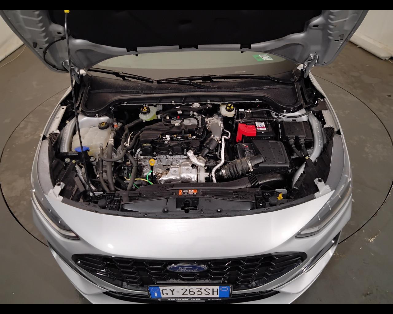 FORD Focus V 2022 - Focus 1.5 ecoblue ST-Line 115cv auto