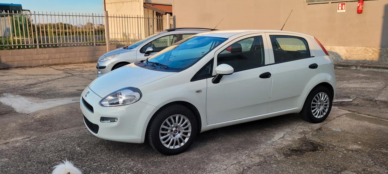 Neopatentata Fiat Punto 1.2 8V 5 porte Street Unico proprietario