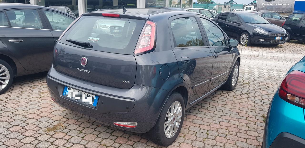 Fiat Punto Evo Punto Evo 1.2 5 porte Dynamic OK NEO PATENTATI