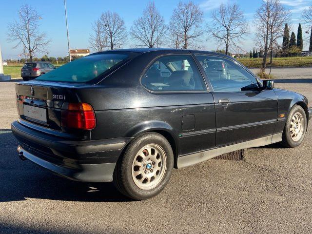BMW 316 i Cat Coupé
