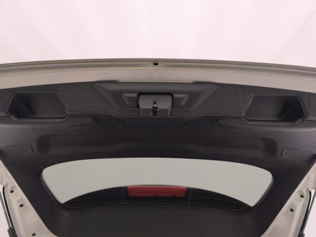 FORD Focus 1.5 ecoblue ST-Line 115cv auto