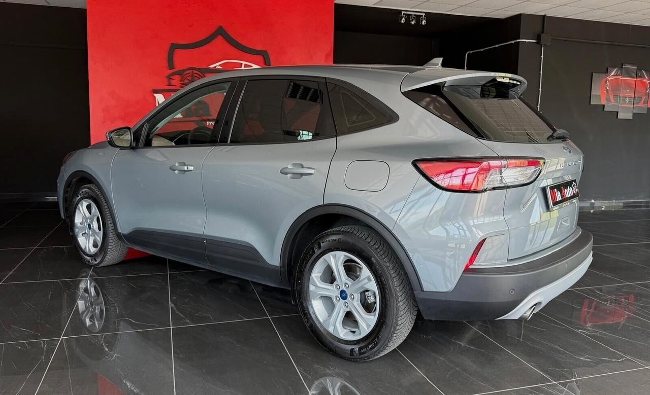 Ford Kuga 1.5 EcoBlue 120 CV aut. 2WD Titanium Business