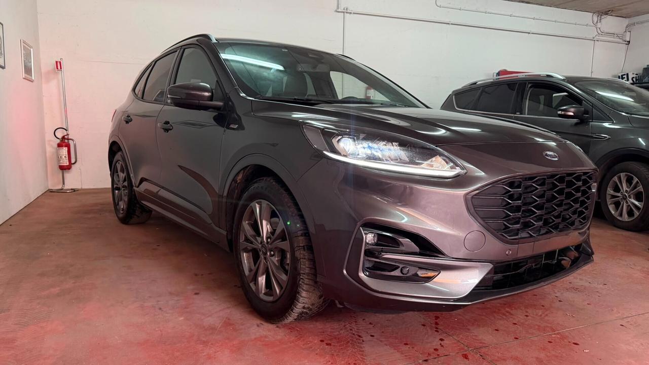 Ford Kuga 1.5 EcoBlue 120 CV 2WD ST-Line garanzia ford 7anni