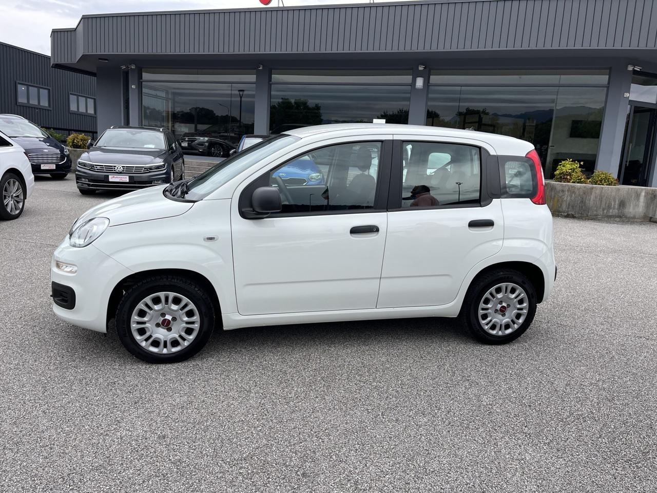 FIAT PANDA 1200 CC 69 CV EASY