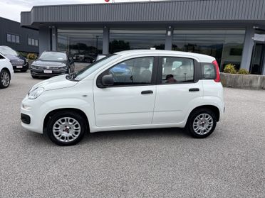 FIAT PANDA 1200 CC 69 CV EASY
