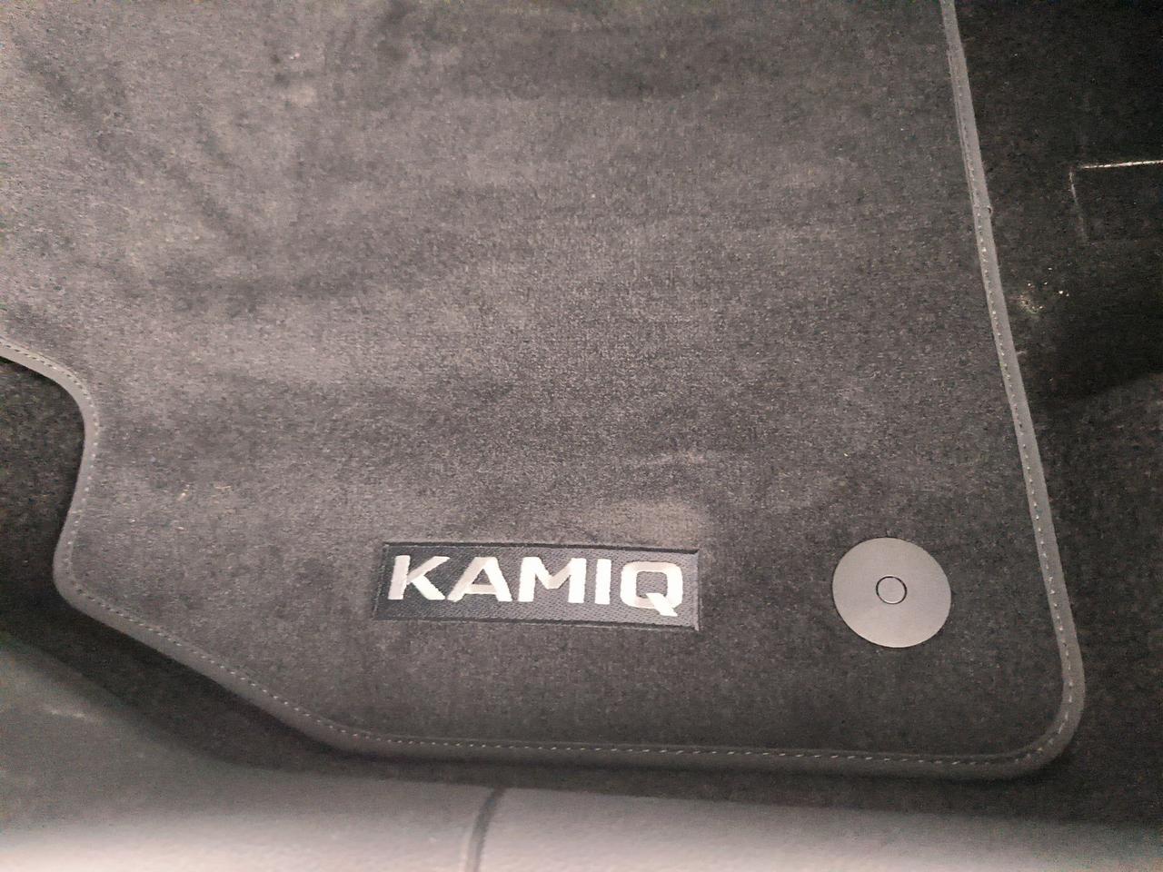 Skoda Kamiq 1.0 tsi black dots 115cv