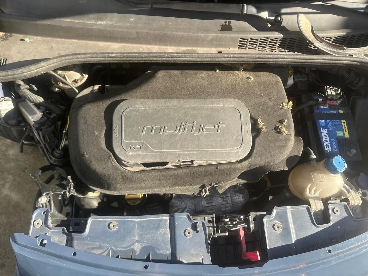 Fiat 500L 1.3 Multijet 95 CV Business