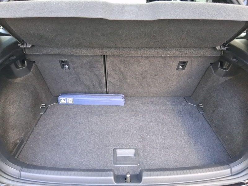 Volkswagen Polo GTI 2.0 TSI GTI DSG