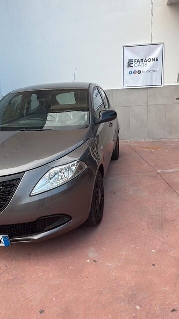 Lancia Ypsilon 1.2 69 CV 5 porte Elefantino