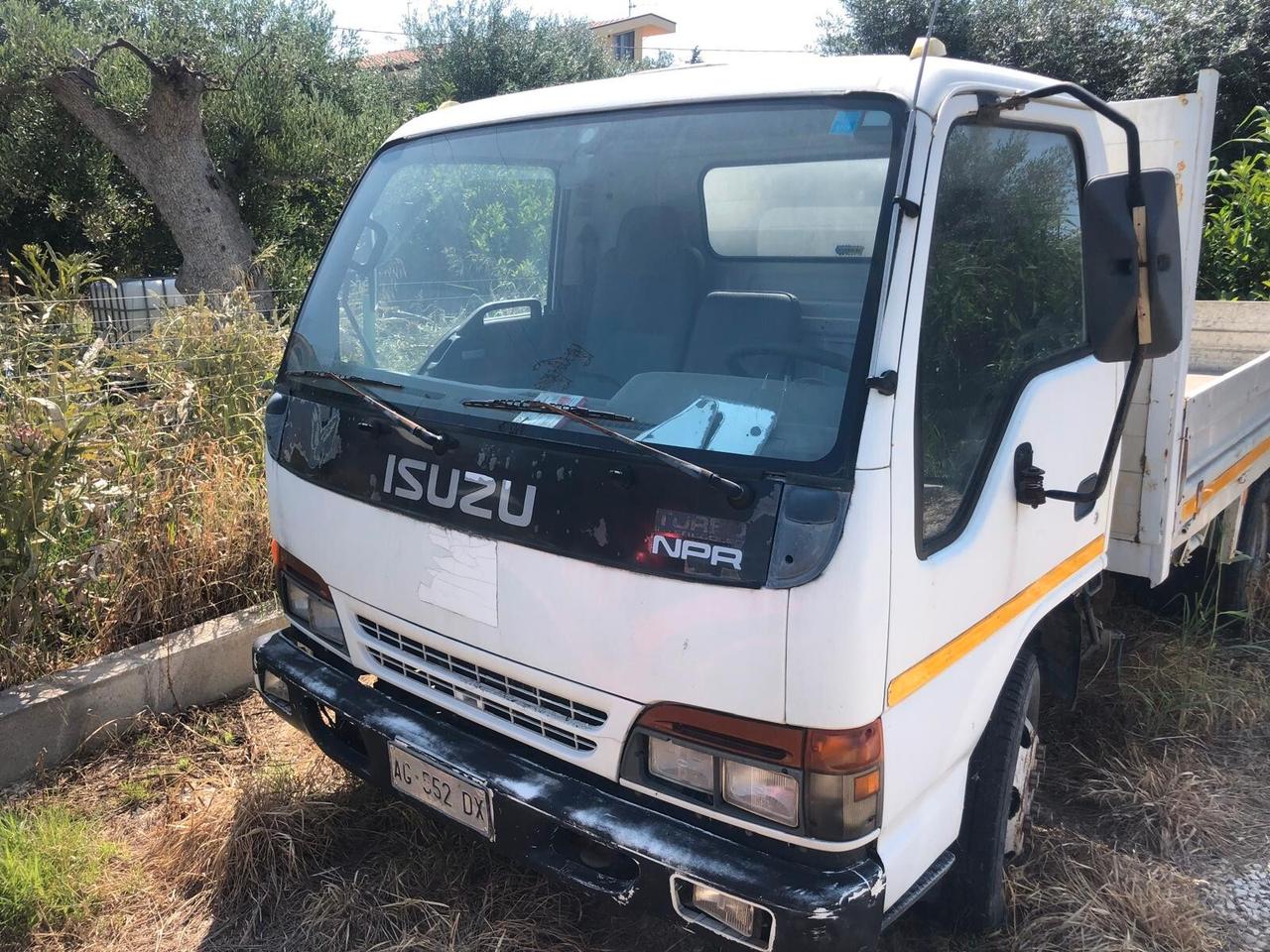 ISUZU NPR 65 CASSONE FISSO - PATENTE C