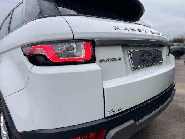 LAND ROVER Range Rover Evoque 2.0 TD4 150 CV 5P BUSINESS *TAGLIANDATO*