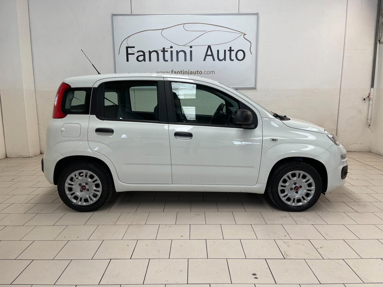 Fiat Panda Easy 1.2 easypower Gpl 69cv-Ok Neopatentati-LEGGI SOTTO
