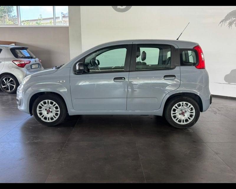 FIAT Panda 3ª serie 1.0 FireFly S&S Hybrid
