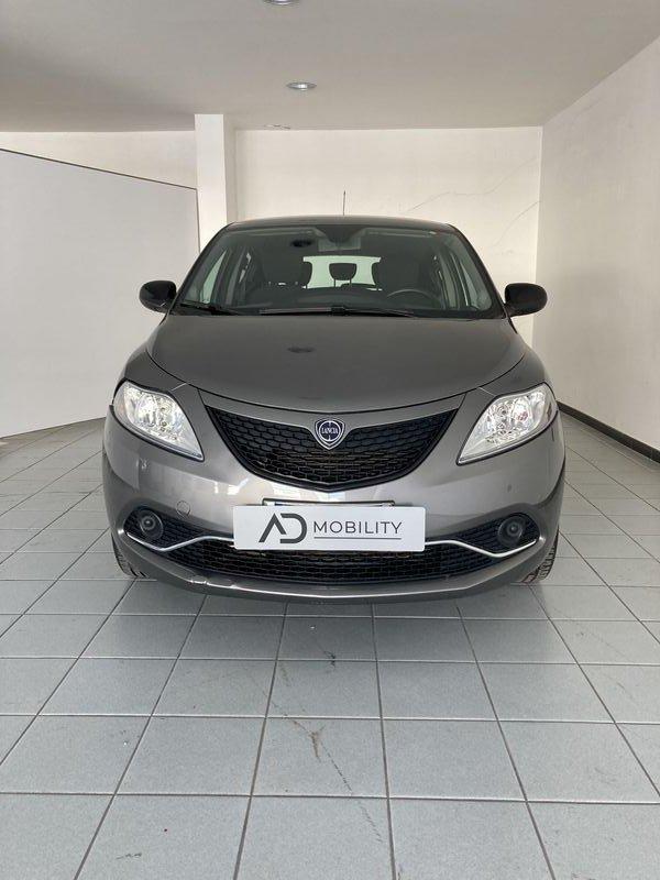 Lancia Ypsilon Ypsilon 1.2 69 CV 5 porte Platinum