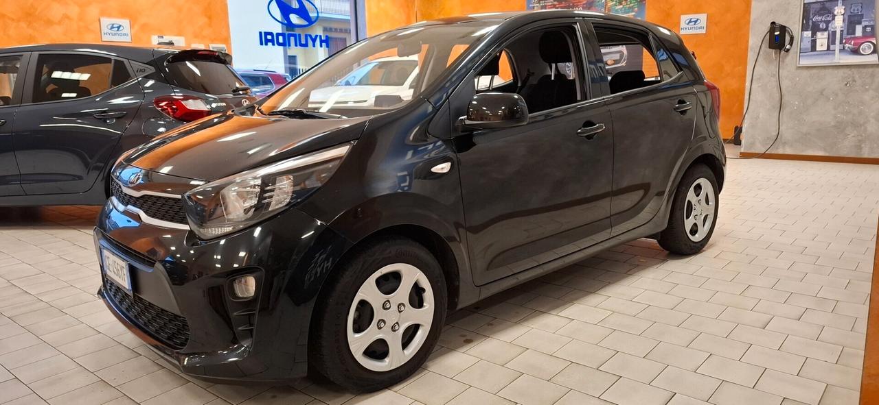 Kia Picanto 1.0 12V 5 porte Urban