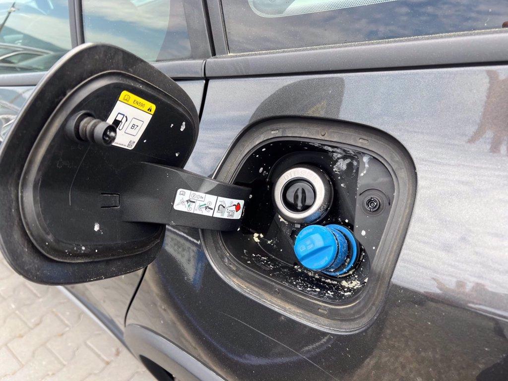 FORD Focus Active SW 1.5 ecoblue Design 120cv auto del 2022