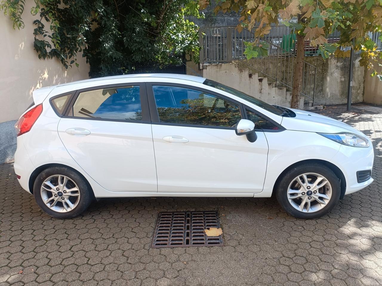 Ford Fiesta 1.2 60CV 5 porte Titanium