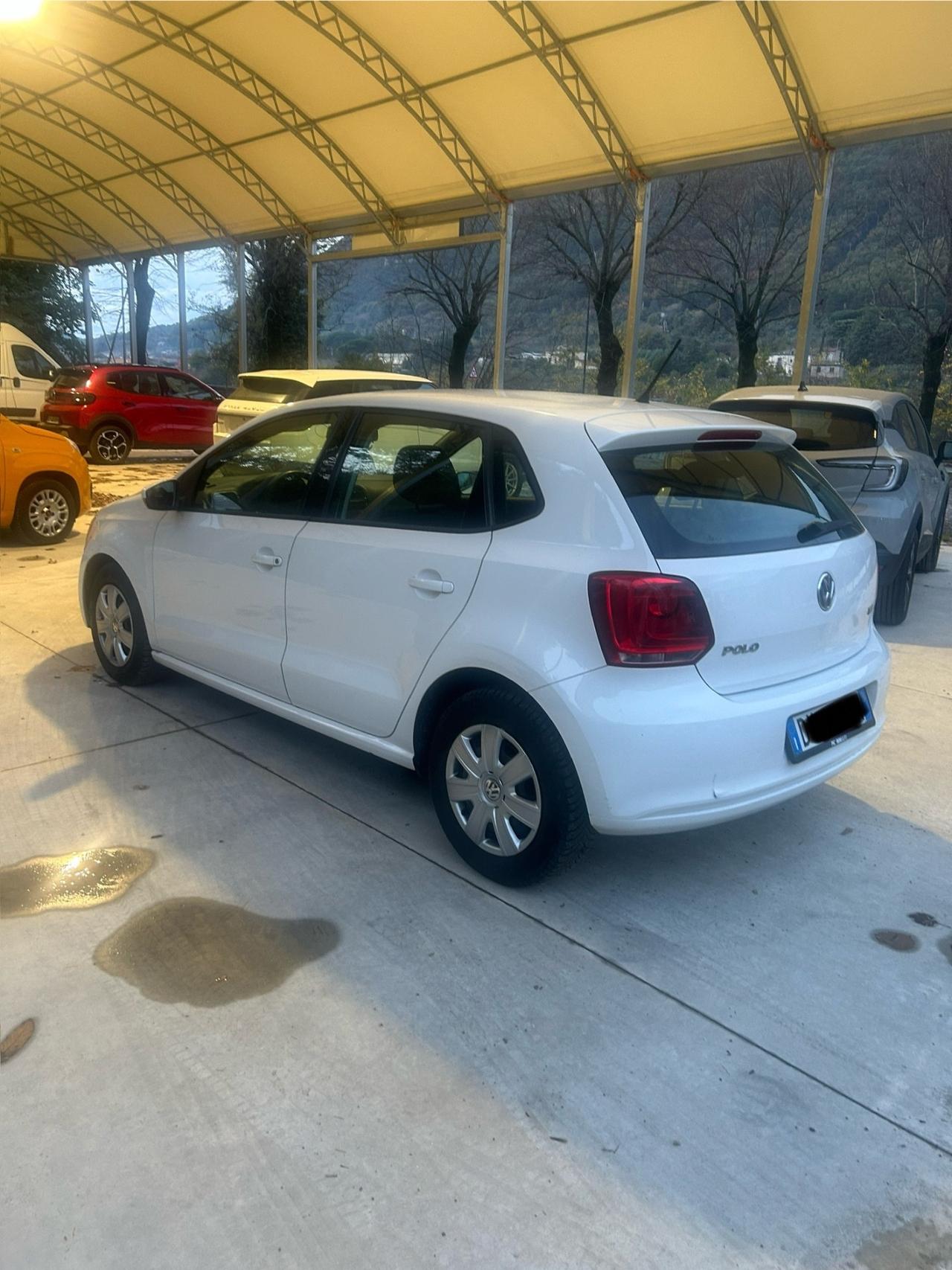 Volkswagen Polo 1.6 TDI DPF 5 porte Comf. BlueMotion Technology