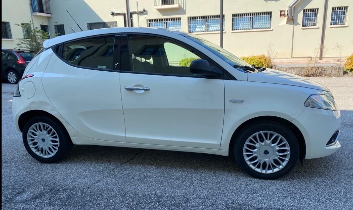 Lancia Ypsilon 1.3 MJT 16V 95 CV 5 porte Platinum