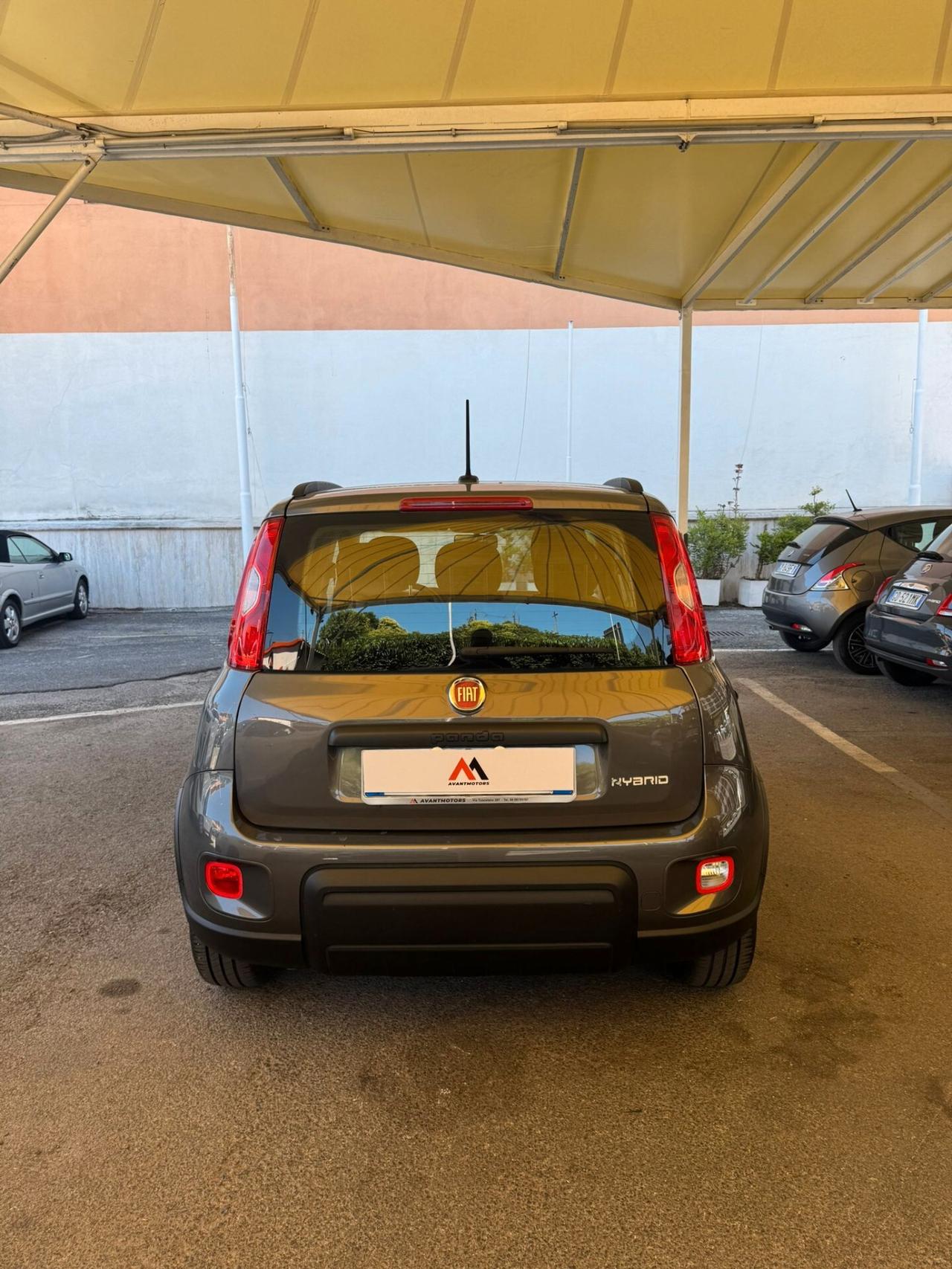 FIAT PANDA 1.0 FIREFLY S&S HYBRID **PREZZO REALE**