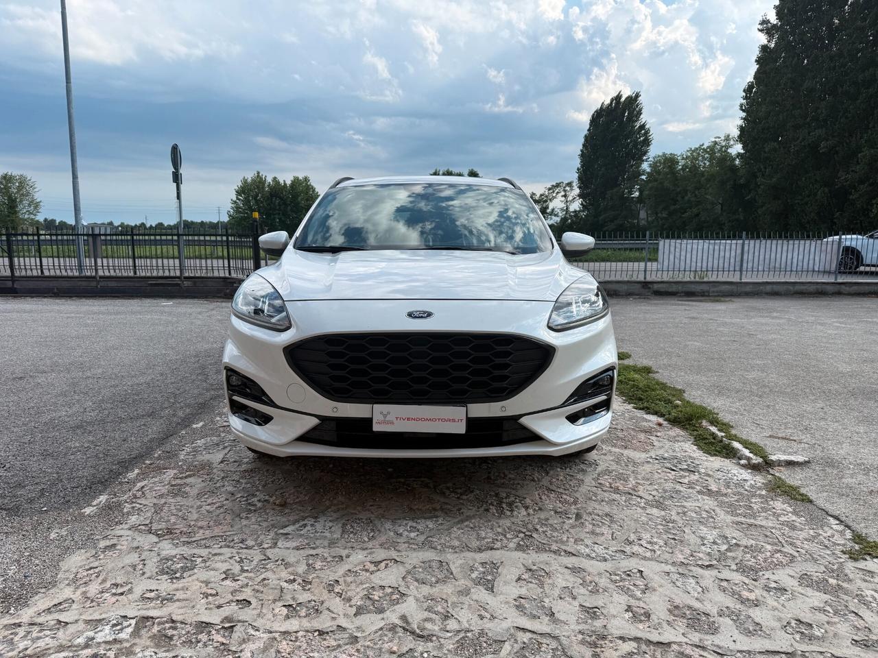 Ford Kuga 1.5 EcoBlue 120 CV aut. 2WD ST-Line X