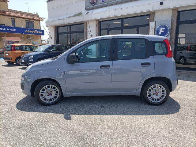 FIAT Panda 1.0 FireFly S&S Hybrid PREZZO REALE
