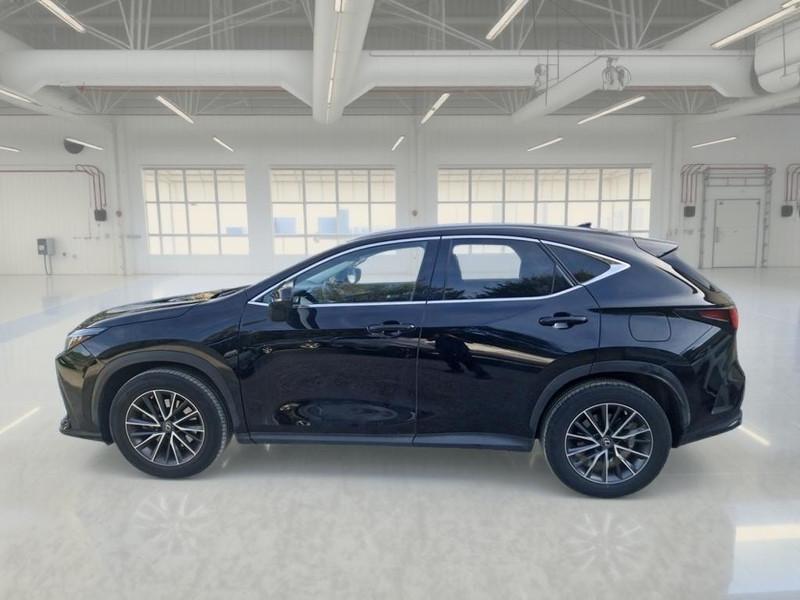 LEXUS NX 350h 2.5 Premium 4wd 190 CV e-cvt