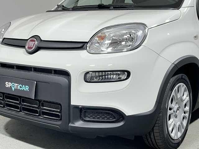 Fiat Panda 1.0 FireFly S&S Hybrid 5 posti KM0