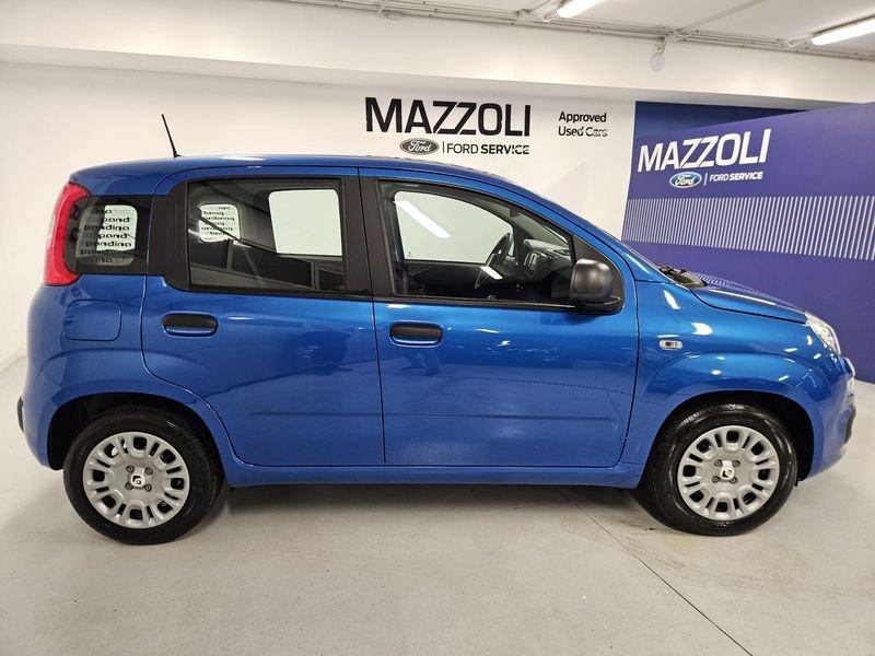 FIAT Panda 1.0 FireFly 70cv S&S Hybrid Pandina