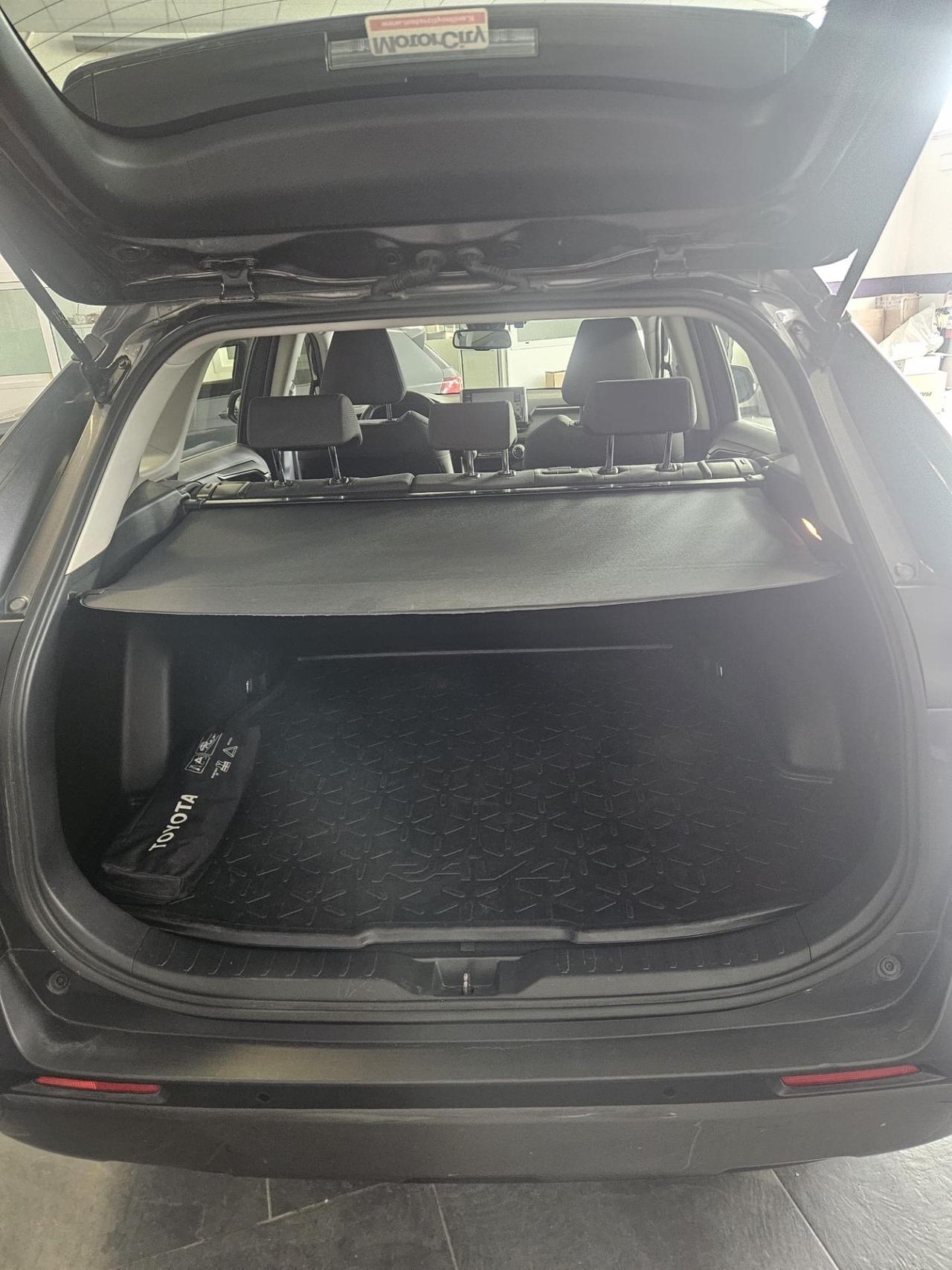 Toyota RAV 4 hybrid