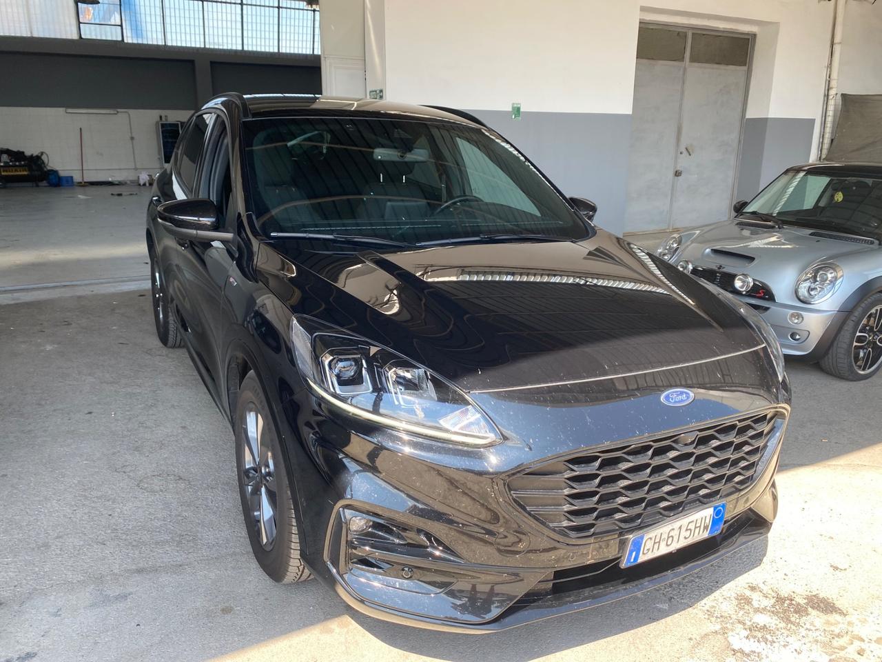 Ford Kuga 1.5 EcoBlue 120 CV 2WD ST-Line X manuale
