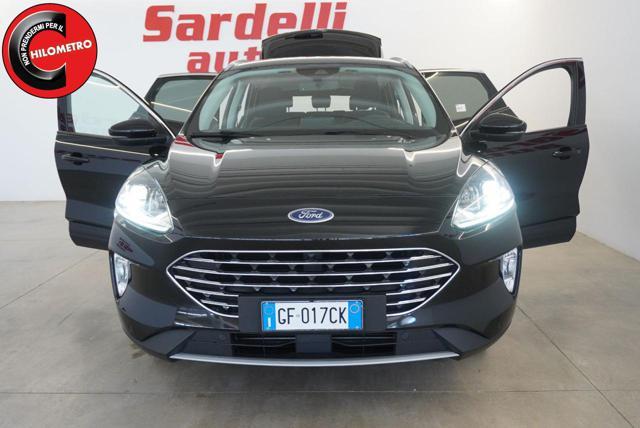 FORD Kuga 1.5 EcoBlue 120 CV 2WD Titanium Business
