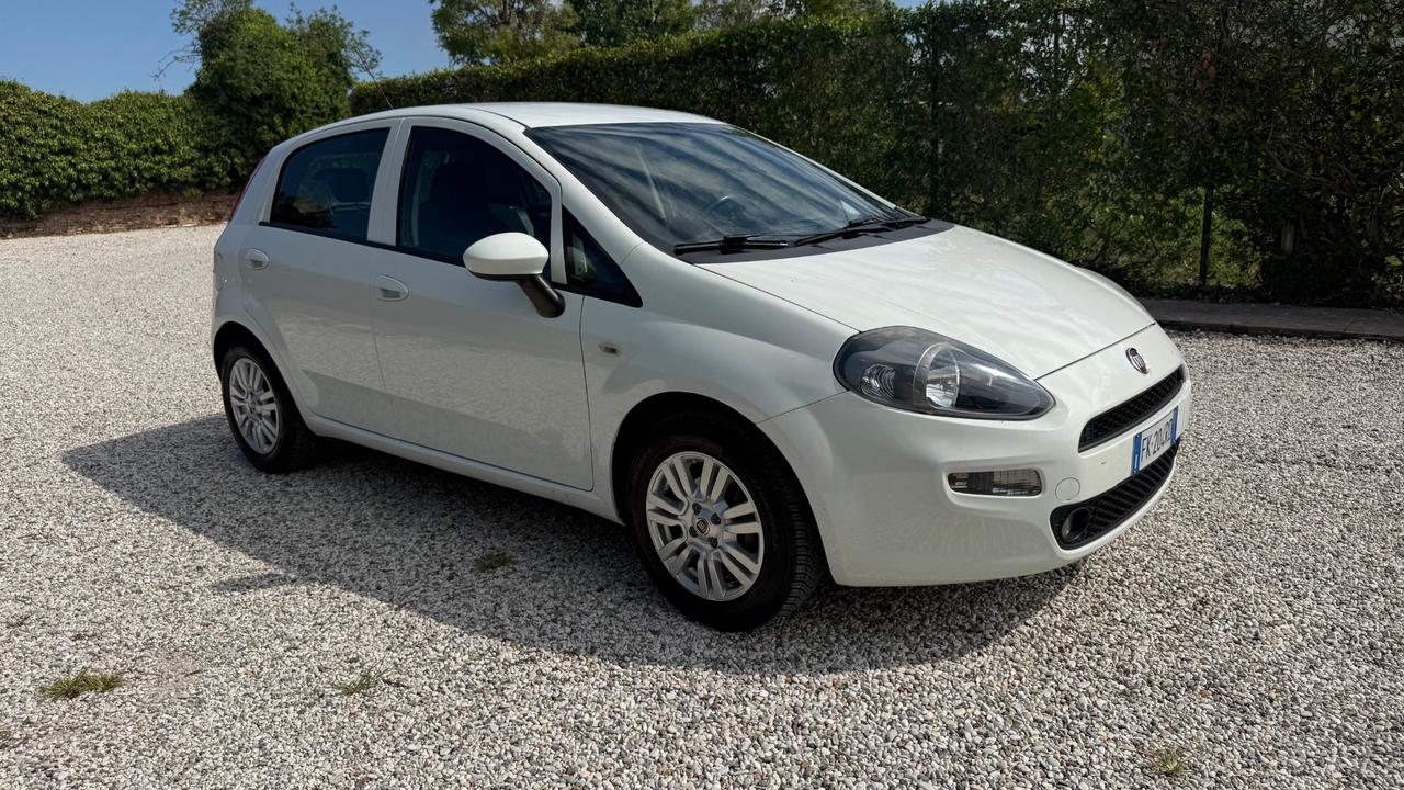 Fiat Punto 1.2 8V 5 porte Gpl e Benzina