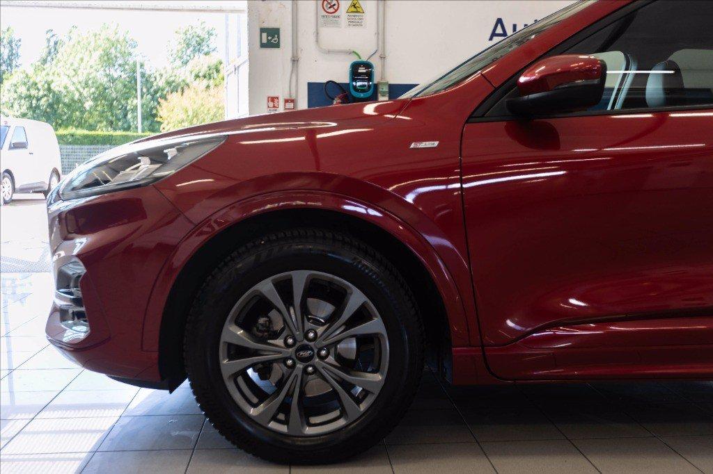 FORD Kuga 1.5 ecoblue ST-Line X 2wd 120cv del 2020