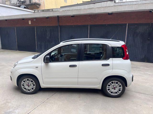 FIAT Panda 1.2 Easy euro 6 benzina distribuzione eseguita