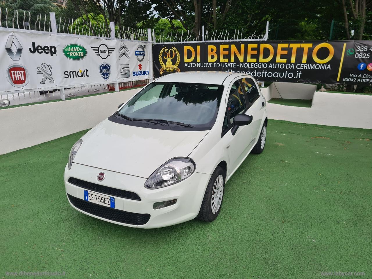 FIAT Punto Evo 1.3 Mjt 75 CV 5p. S&S Active NOLEGGIO