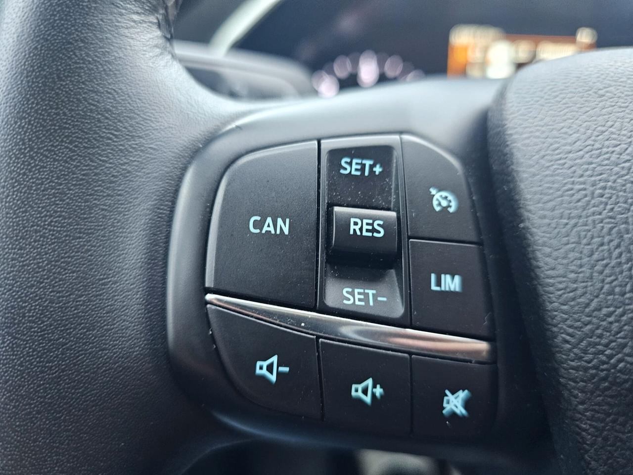 Ford Focus 1.5 EcoBlue 95 CV SW Business N1