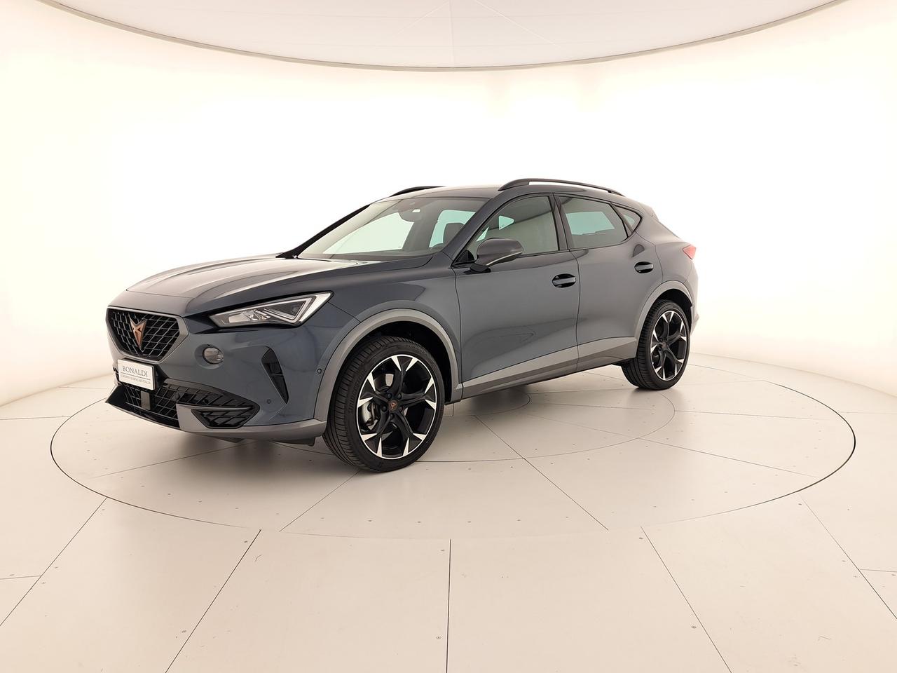 Cupra Formentor 2.0 tdi 4drive 150cv dsg