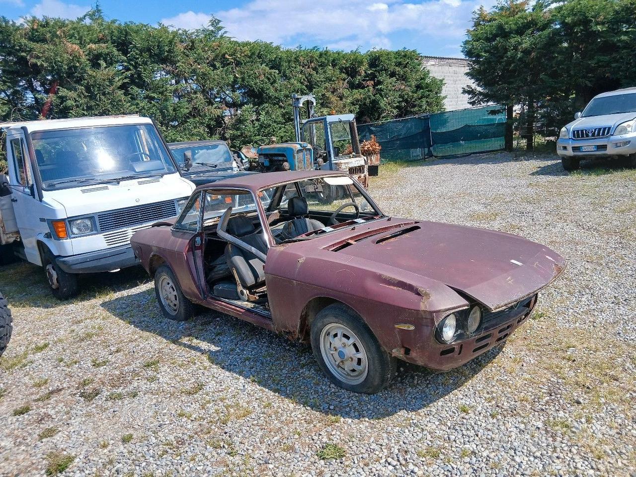 fulvia