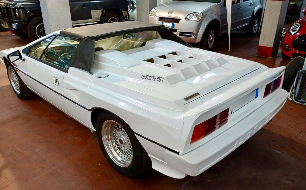 Lotus 79 Esprit