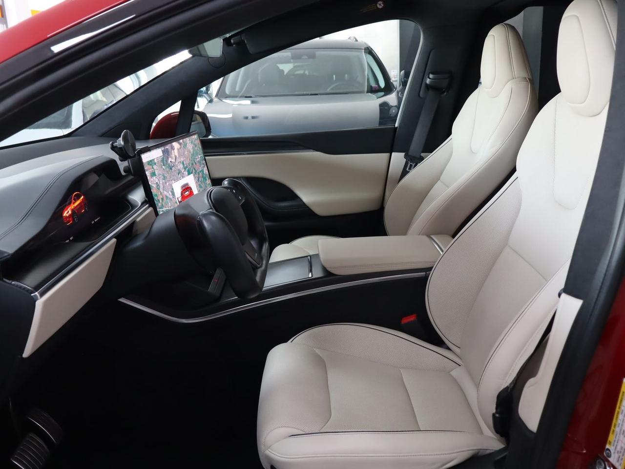 Tesla Model X Plaid #11739