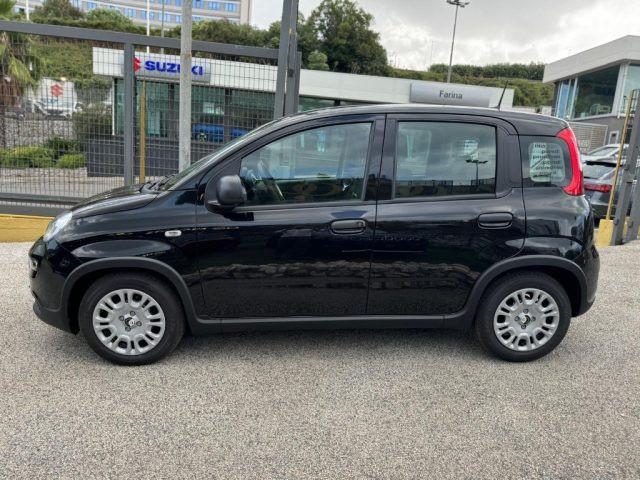 FIAT Panda 1.0 FireFly S&S Hybrid Pandina con ADAS