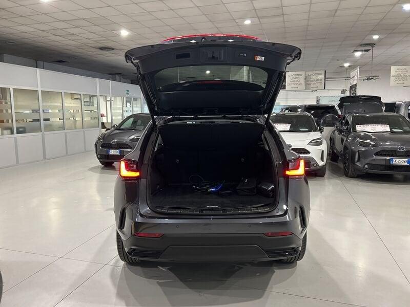 Lexus NX Hybrid 4WD Premium +