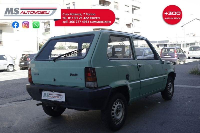 FIAT Panda 900 i.e. cat Young
