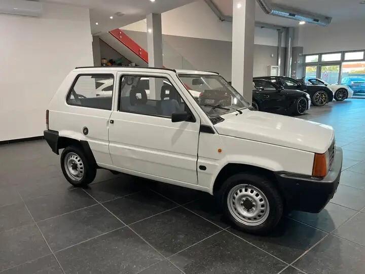 Fiat Panda 900 i.e. cat Young